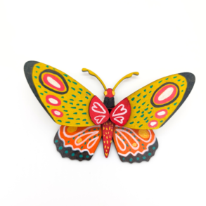 Mariposa pequeña colorida